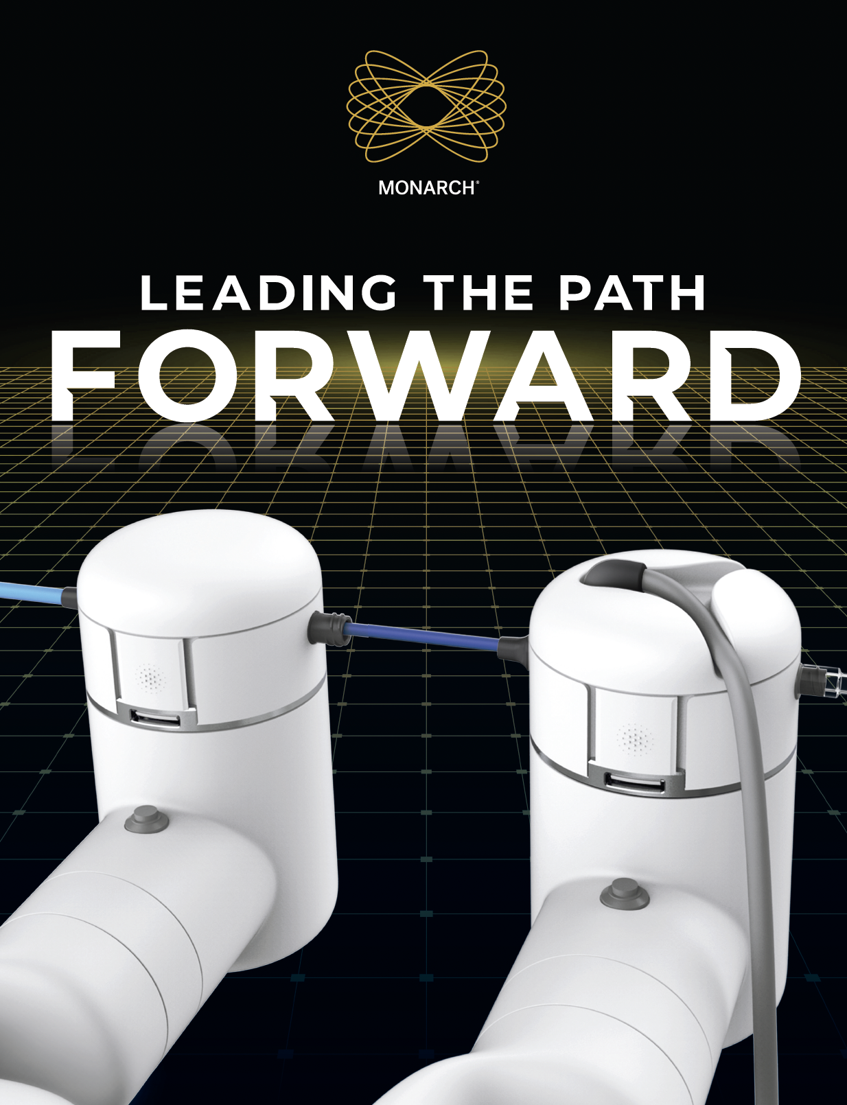 Monarch print ad — Leading the path forward