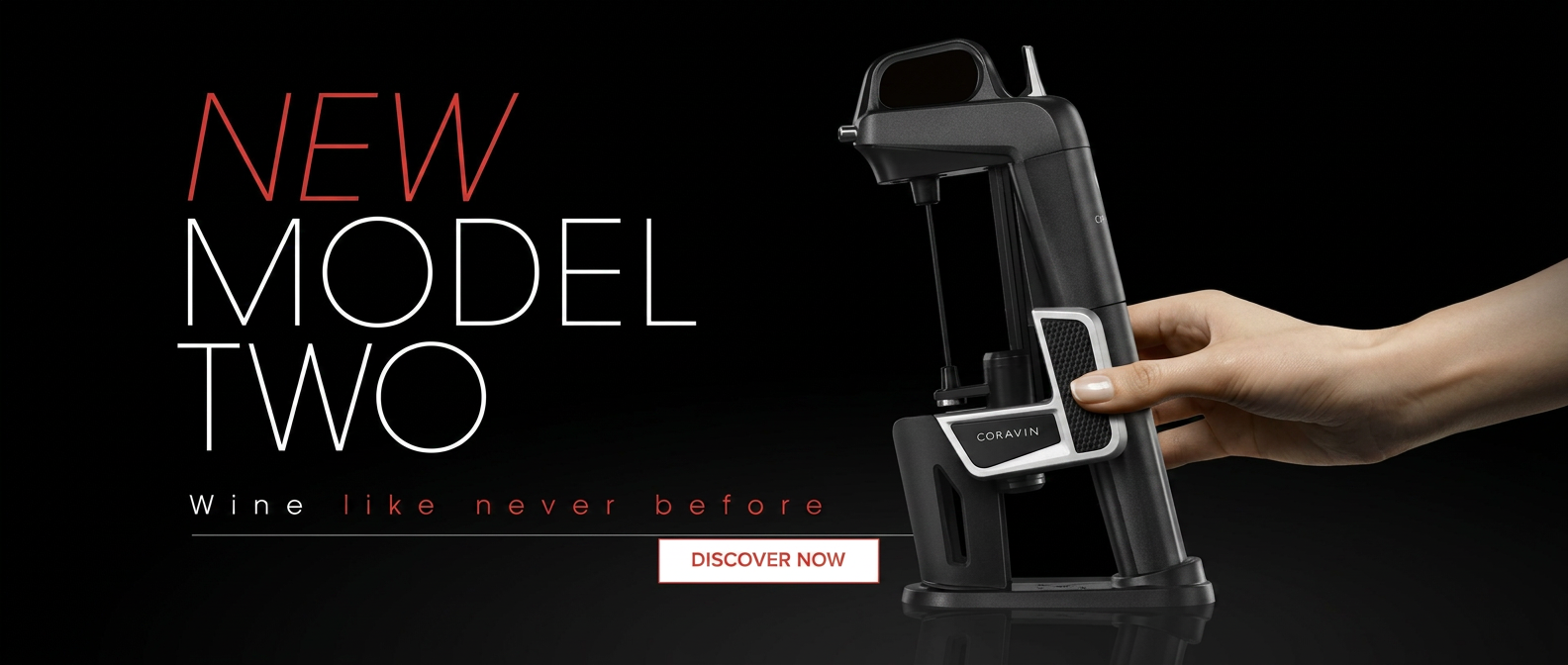 E-commerce banner reading New Model Two, Wine like never before, with a hand on the device